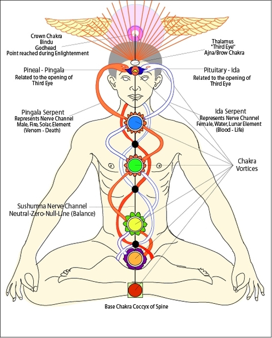 Download How Activate Chakras In Pranic Healing Basic Course Free